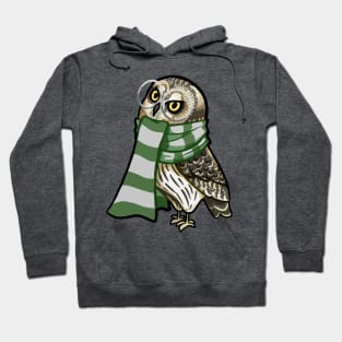 Cunning Short-Earred Owl Hoodie